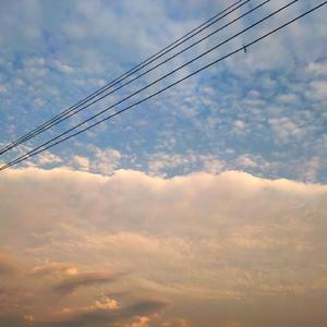 情色怡红午夜影视
