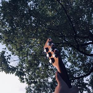 情色怡红午夜影视
